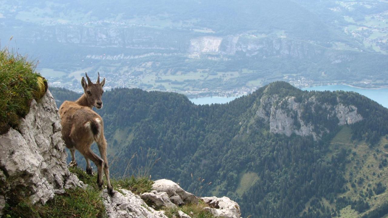 Escale Du Chateau De Promery 1389 Annecy Luaran gambar